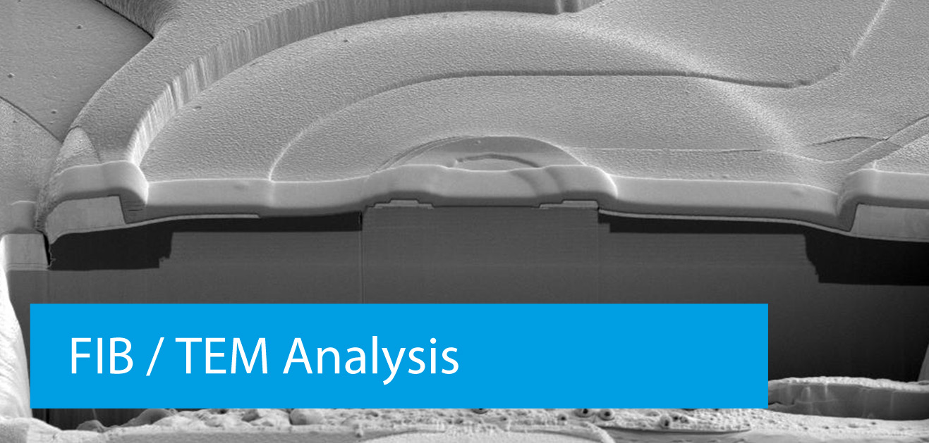 FIB / TEM