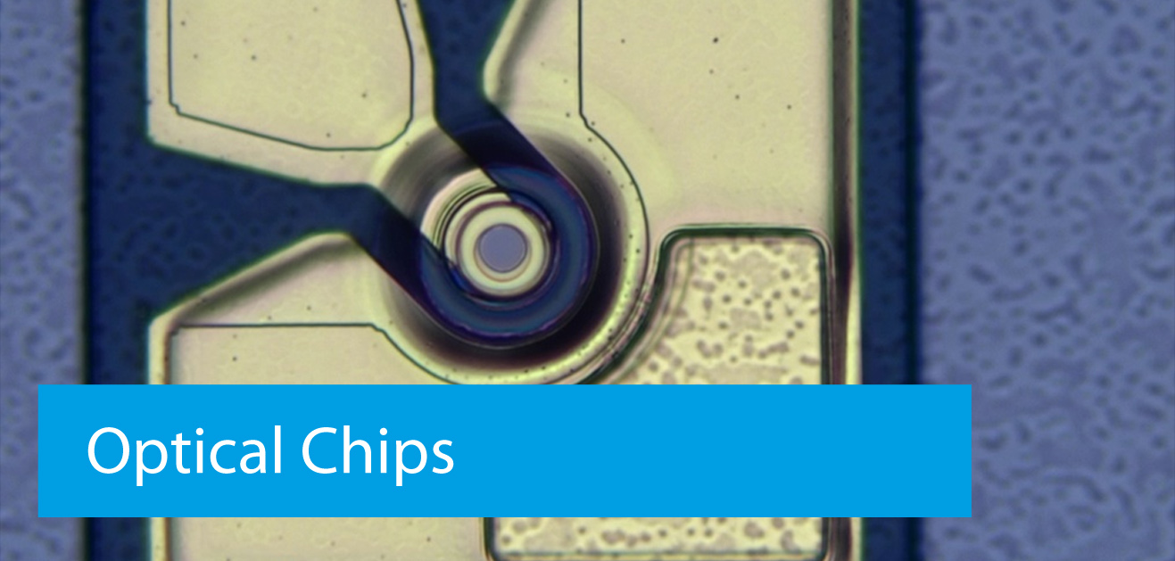 Optical Chips